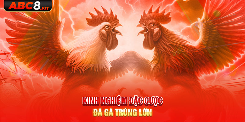 Kinh nghiệm đặt cược đá gà trúng lớn