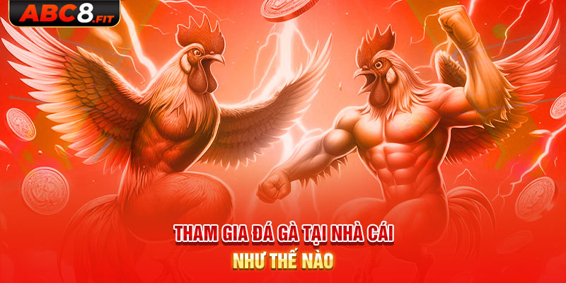 Tham gia đá gà tại nhà cái như thế nào?